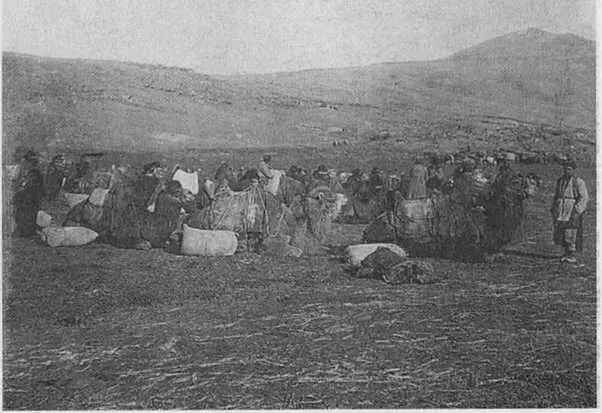 Верблюжий транспорт Персидский фронт 1916 г Построение частей 4го - фото 50