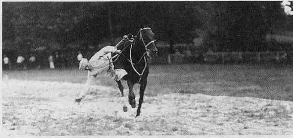 Донского Войска полковник Шляхтин Франция 1925 г Терского Войска хорунжий - фото 82