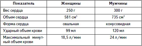 Женское сердце проигрывает мужскому и по другим показателям табл 1 Сердце - фото 1