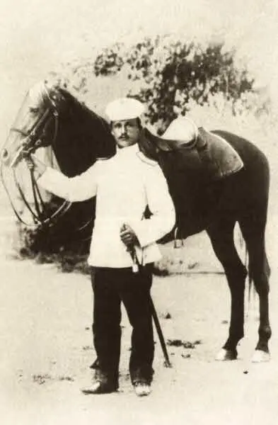 В ЯН С КОНЕМ ИТАЛМАЗОМ 1902 Еще дальше едучи на юг все чаще начинают - фото 20
