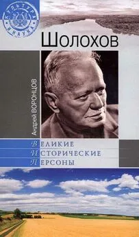 Андрей Воронцов - Шолохов