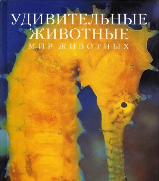 ru en Н П Петрашкевич Izekbis Fiction Book Designer FictionBook Editor - фото 1