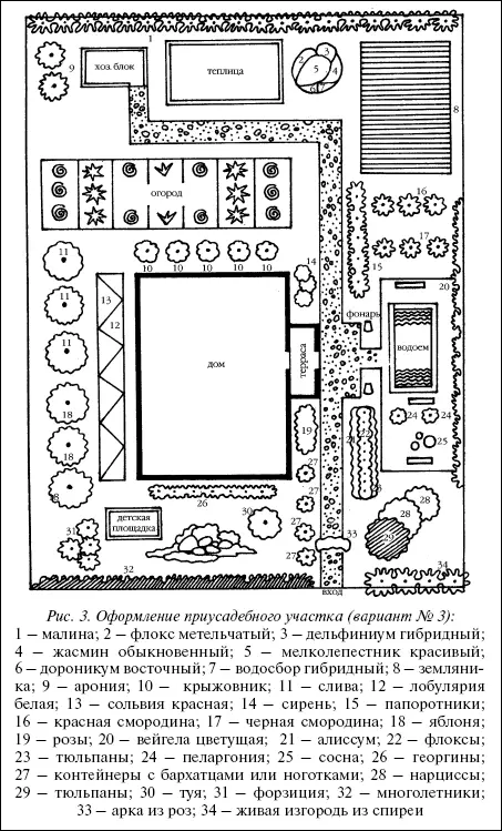 Рис 3 Оформление приусадебного участка вариант 3 1 малина 2 флокс - фото 3