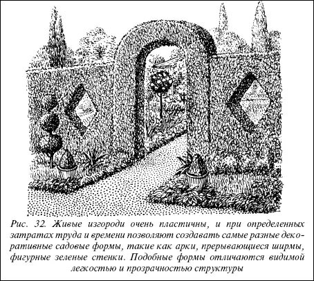 Рис 32 Живые изгороди очень пластичны и при определенных затратах труда и - фото 53