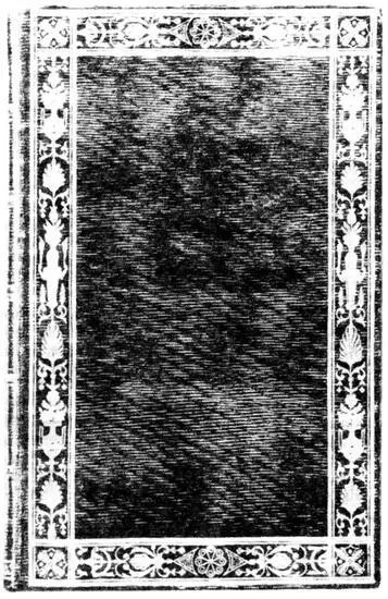 Переплет работы Пюргольда с орнаментом в античном духе Три месяца Теодор - фото 3
