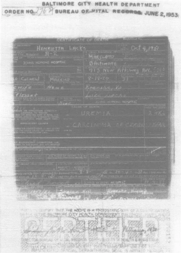 Свидетельство о смерти Генриетты Лакс Сэди Стердевант двоюродная сестра и - фото 56