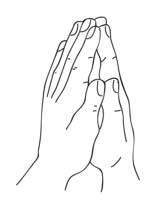 Выполнение мудры ладони сложены вместе пальцами вверх Мудра Молящегося - фото 57