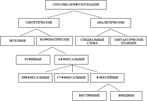 Синтетические способы выражения морфологических значений морфологизации - фото 14