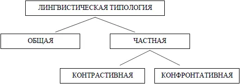 В отличие от компаративистики лингвистическая типология сравнивает языки не - фото 19