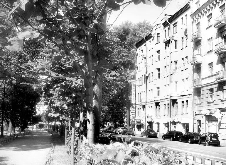 Кронверкский пр 27 В квартире 6 в 1930е гг жил дирижер 19371950 гг - фото 86