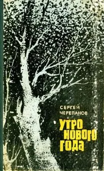 Сергей Черепанов - Утро нового года