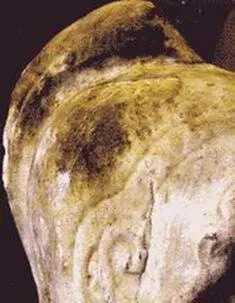 Рис 49 Дикая патина на мраморной скульптуре 39 Там же Видна сильная - фото 52