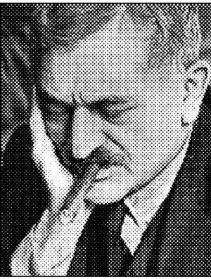 Немецкий шахматист Второй чемпион мира по шахматам 18941921 гг Доктор - фото 48