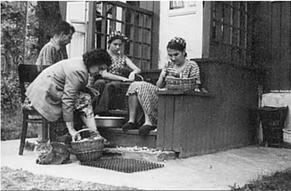 После похода за грибами на даче в Луцино 1954 год Рядом с Алисой Григорьевной - фото 24
