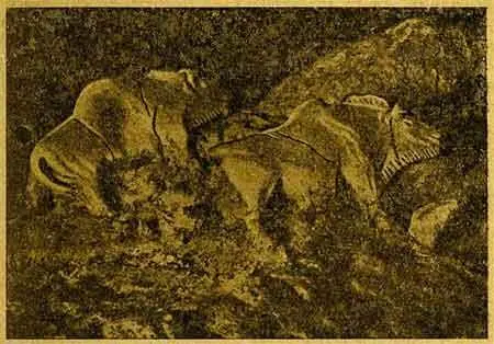примечание к рис Беглецов пещерного племени было много и они не решались - фото 140