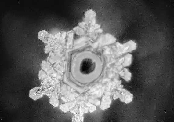 Рис 9 Кристалл образованный водопроводной водой Осака К сожалению вода - фото 11
