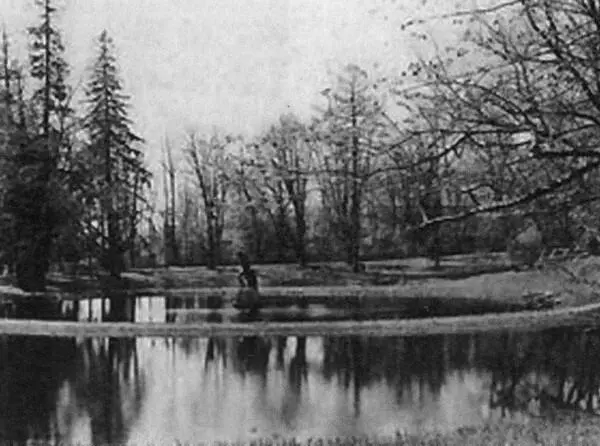 Царское Село Тройной пруд в старом саду 1910е гг И Ф Анненский В Я Б - фото 12