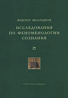 Виктор Молчанов - Исследования по феноменологии сознания