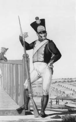 Фузилер линейной пехоты французской армии 1812 г Вступив на московские - фото 81
