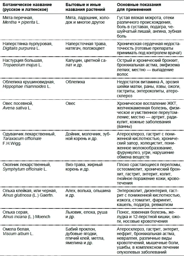 Лекарственные растения Использование в народной медицине и в быту - фото 22