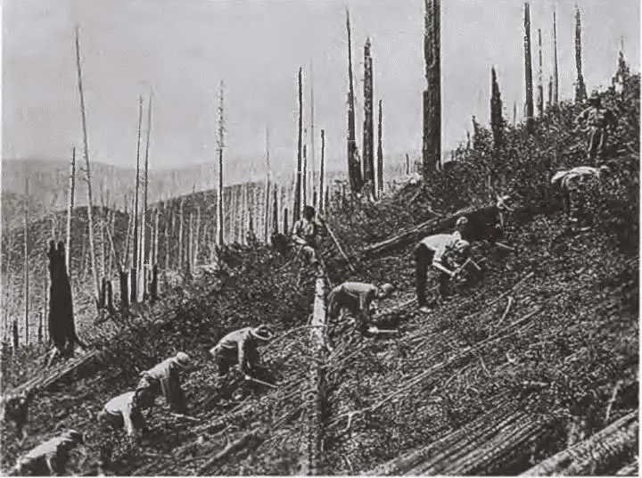 Трудовая программа Нового курса в действии 1934 г Усадьба в - фото 44