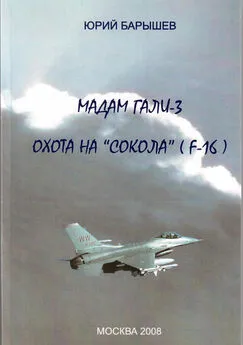 Юрий Барышев - Мадам Гали – 3. Охота на «Сокола» (F-16)