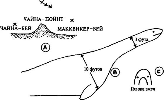 Морской монстр которого видели у ЧайнаПойнт в 1948 г С набросков Рода - фото 30