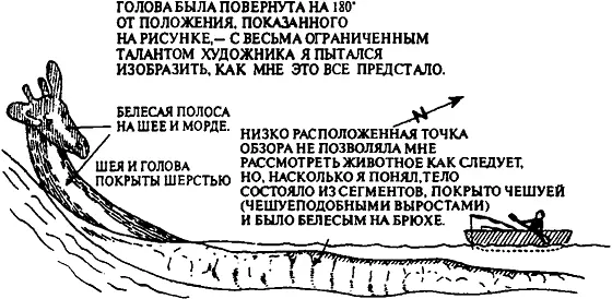 Морской змей СпэнишБенкс С рисунка Джима Томпсона Вторым недавним - фото 35