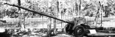 Пушка гладкоствольная Т12 2А19 Рапира калибра 100 мм Дальность выстрела - фото 61