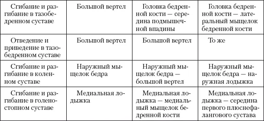 Сопоставление активного и пассивного объемов движения позволяет получать - фото 28