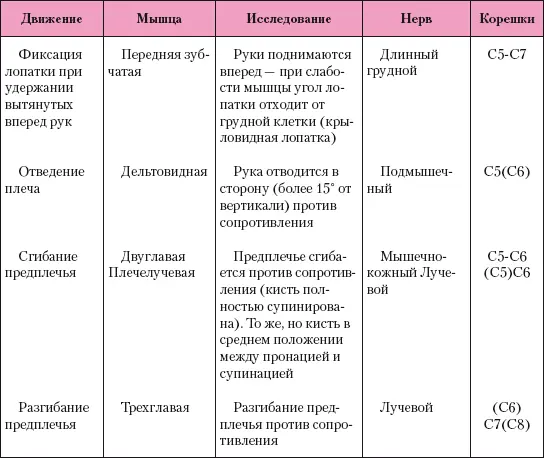 Исследование мышечной системы верхней конечности Трапециевидная мышца рис - фото 48