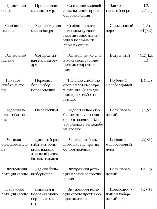 Исследование мышечной системы верхней конечности Трапециевидная мышца рис - фото 50