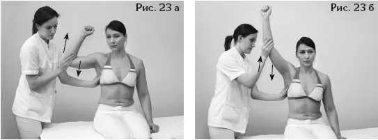Рис 24 а бТест для определения силы m latissimi dorsi Двуглавая мышца - фото 67