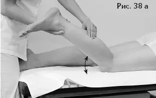 Рис 38Тест для определения силы m gastrocnemii выполнение подошвенного - фото 93