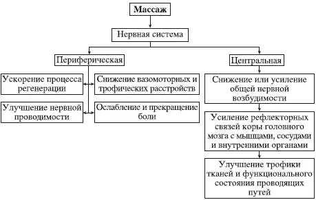 Схема 1Влияние массажа на нервную систему Кроме нервного фактора в механизме - фото 110