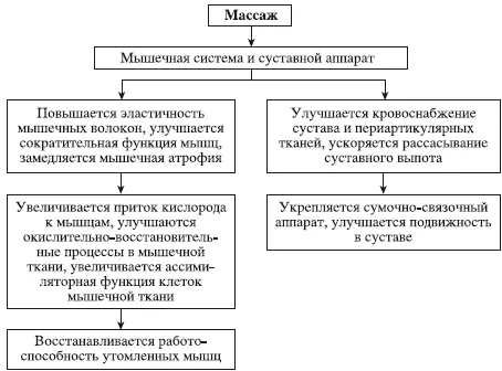 Схема 3Влияние массажа на мышечную систему и суставной аппарат Массаж активно - фото 112
