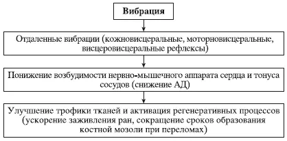 Схема 4физиологическое действие вибрации Различают два вида вибрации - фото 139