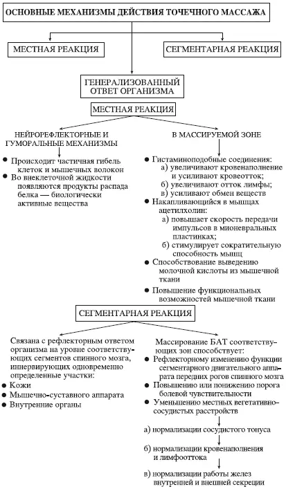 Схема 5механизмы физиологического действия точечного массажа В рефлекторном - фото 163