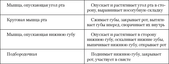 При неврите лицевого нерва на первое место выступает парез или паралич - фото 299