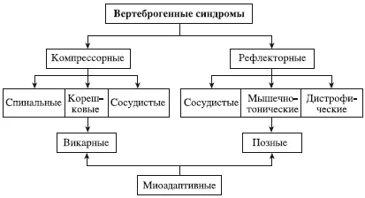 Схема 1Классификация вертеброгенных синдромов Попелянский Я Ю Различают - фото 304
