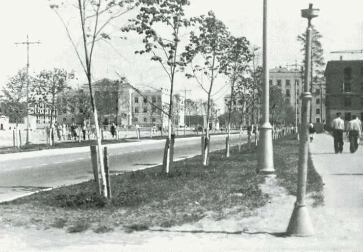 Проспект Мира 1959 г Улица Курчатова - фото 110
