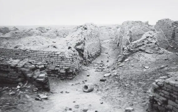 Илл 56 Улица с жилыми домами в Уре Вид после раскопок Буря вызванная - фото 63