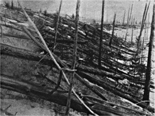 Рис 812 Вывал леса в районе падения Тунгусского метеорита Обычно далеко не - фото 185