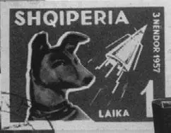 Изображение Лайки часто печатали на марках открытках и даже сигаретных пачках - фото 23