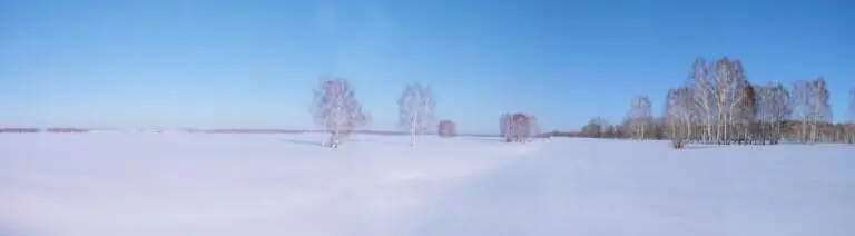 Основное население Луизитании проживало именно в этих субтропиках Большинство - фото 3