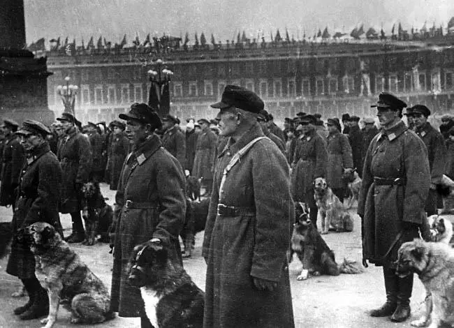 Школа служебного собаководства на параде в день 15 летия милиции Дворцовая - фото 34