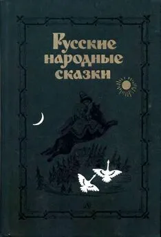 Владимир Аникин - Русские народные сказки