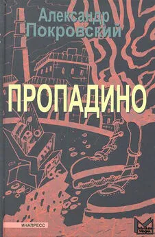 Александр Покровский - Пропадино. История одного путешествия