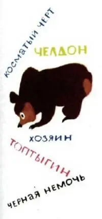Когда с моховых болот сойдет снег клюкву медведь на них собирает А на озимях - фото 136