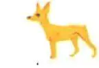 Чихухуа Чихуахуа или мексиканский карликовый терьер Самая маленькая собака - фото 44